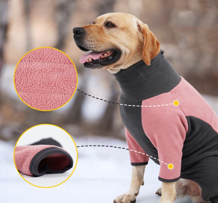 Winter clothes for dogs