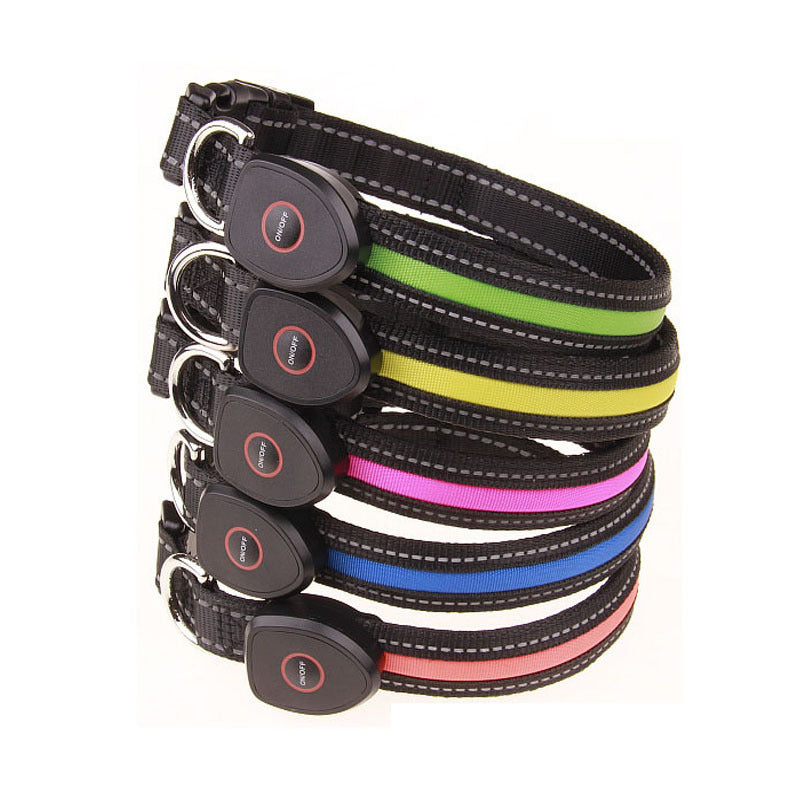 Dog luminous collar