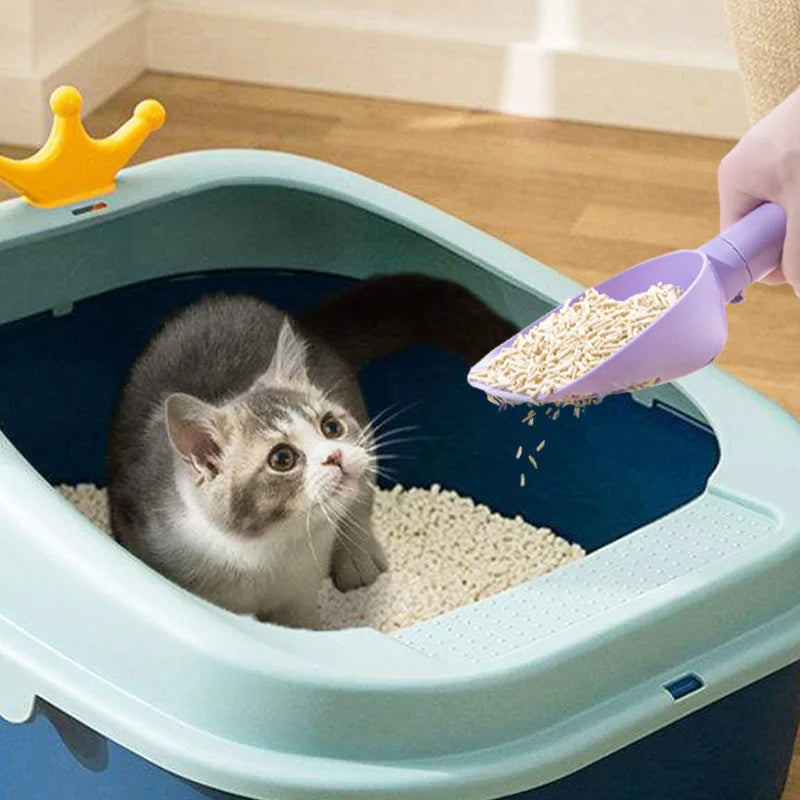 Cats Poop Scoop