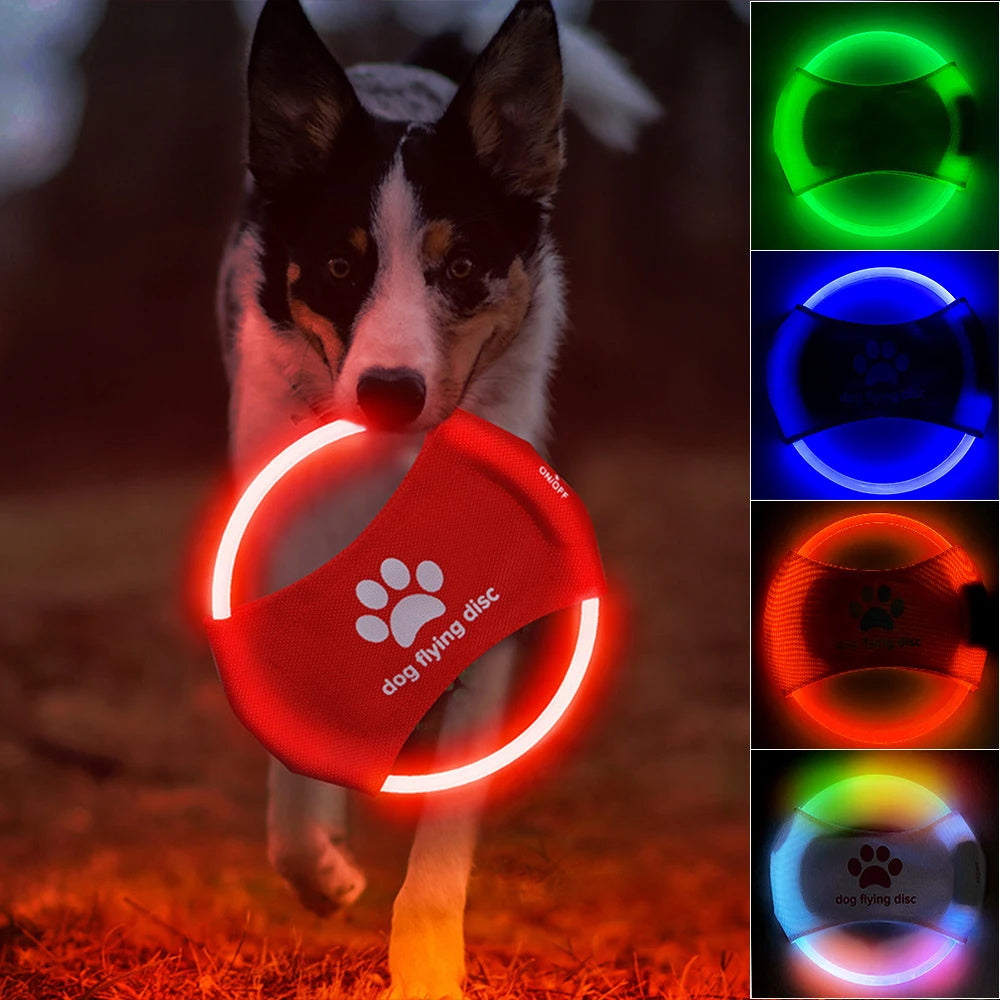 Dog Flying Discs Light Glowing