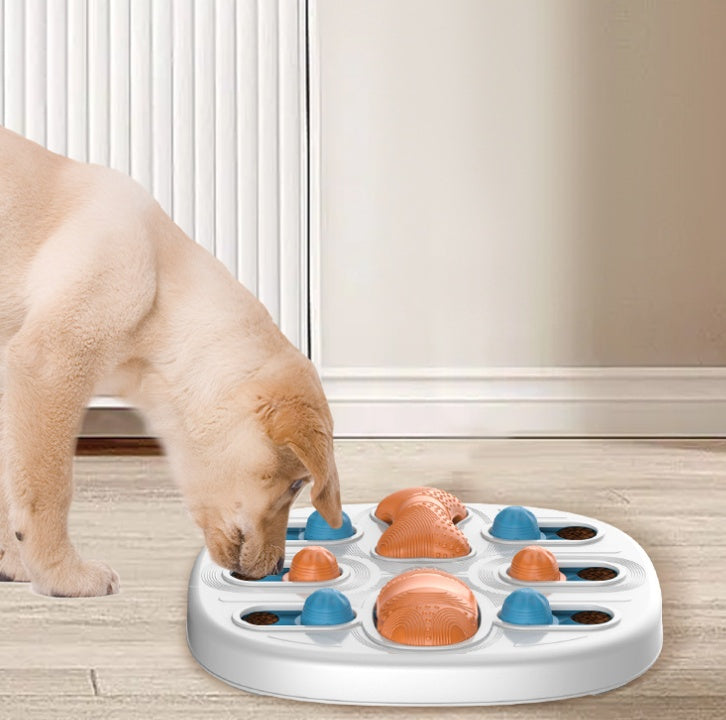 Dog Licking Plate