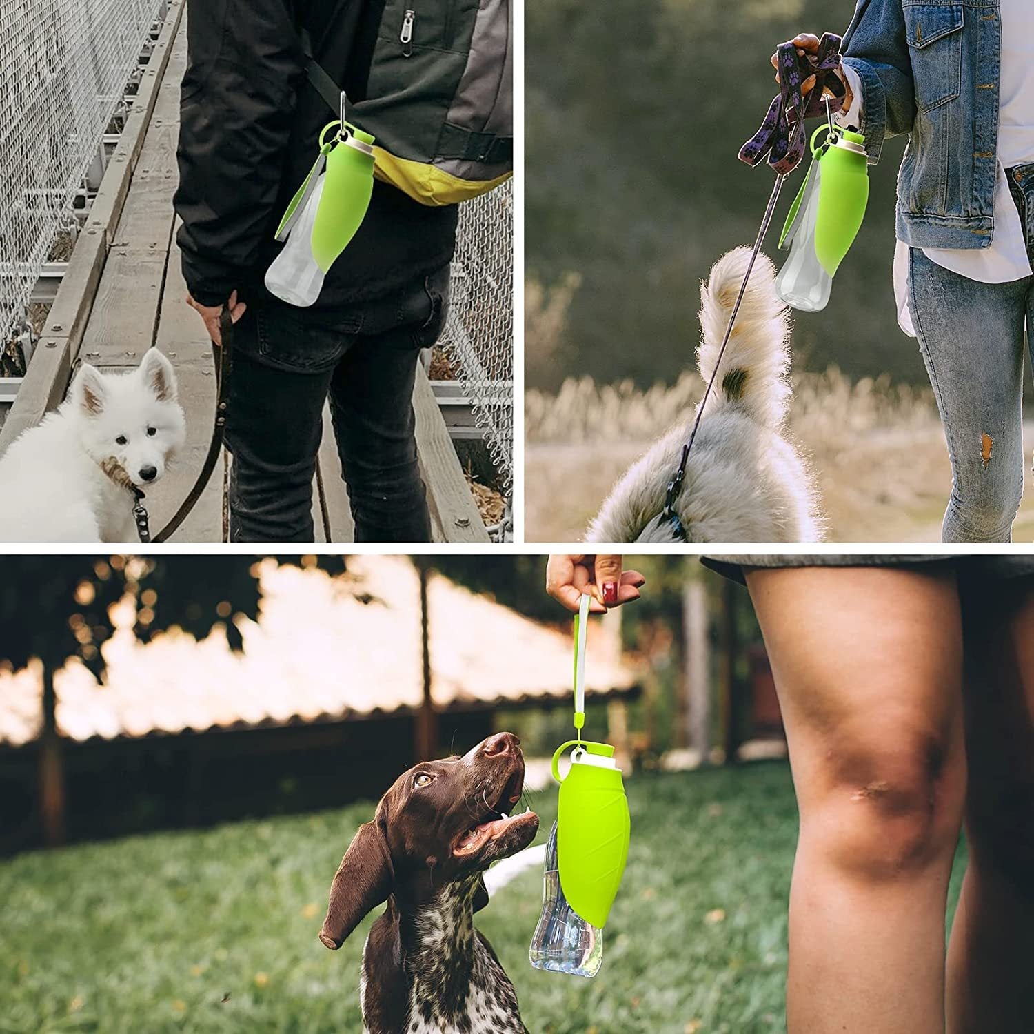 Pet Water Bottle