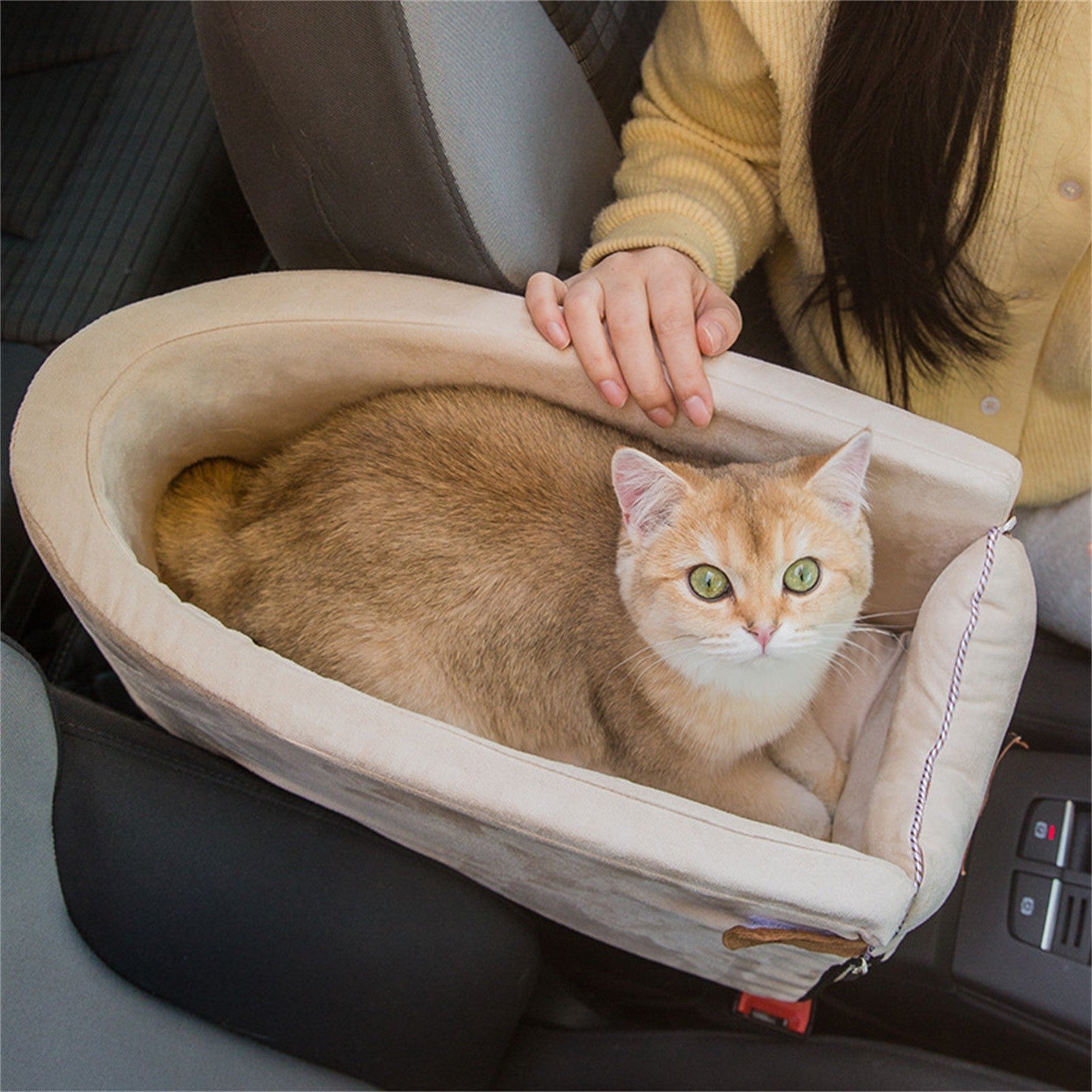 Car Pet seat