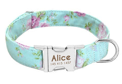 Dog Pet Supplies Collars Glow At Night