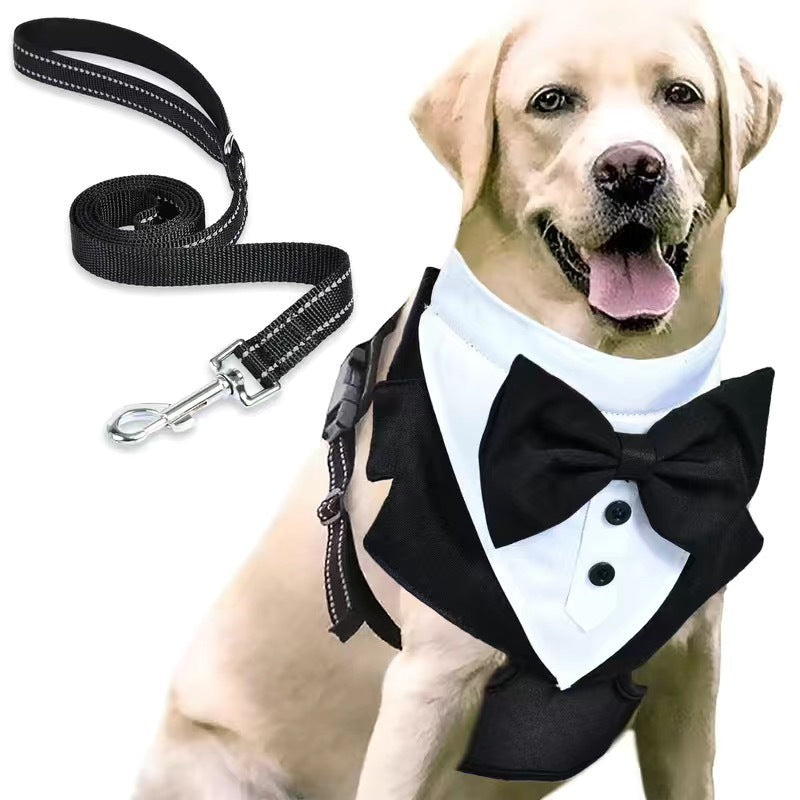 Dog suit with leash