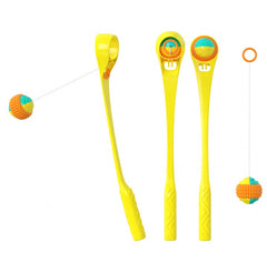 Multifunction Sport Ball cat Toys