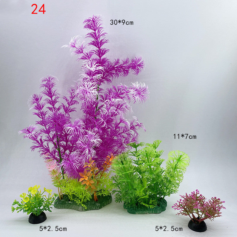 Plants for the aquarium