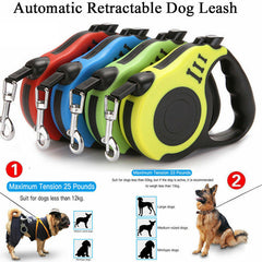 Removable pet leash-Free and fast shipping