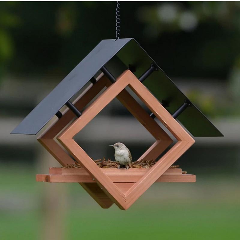 Bird Feeder