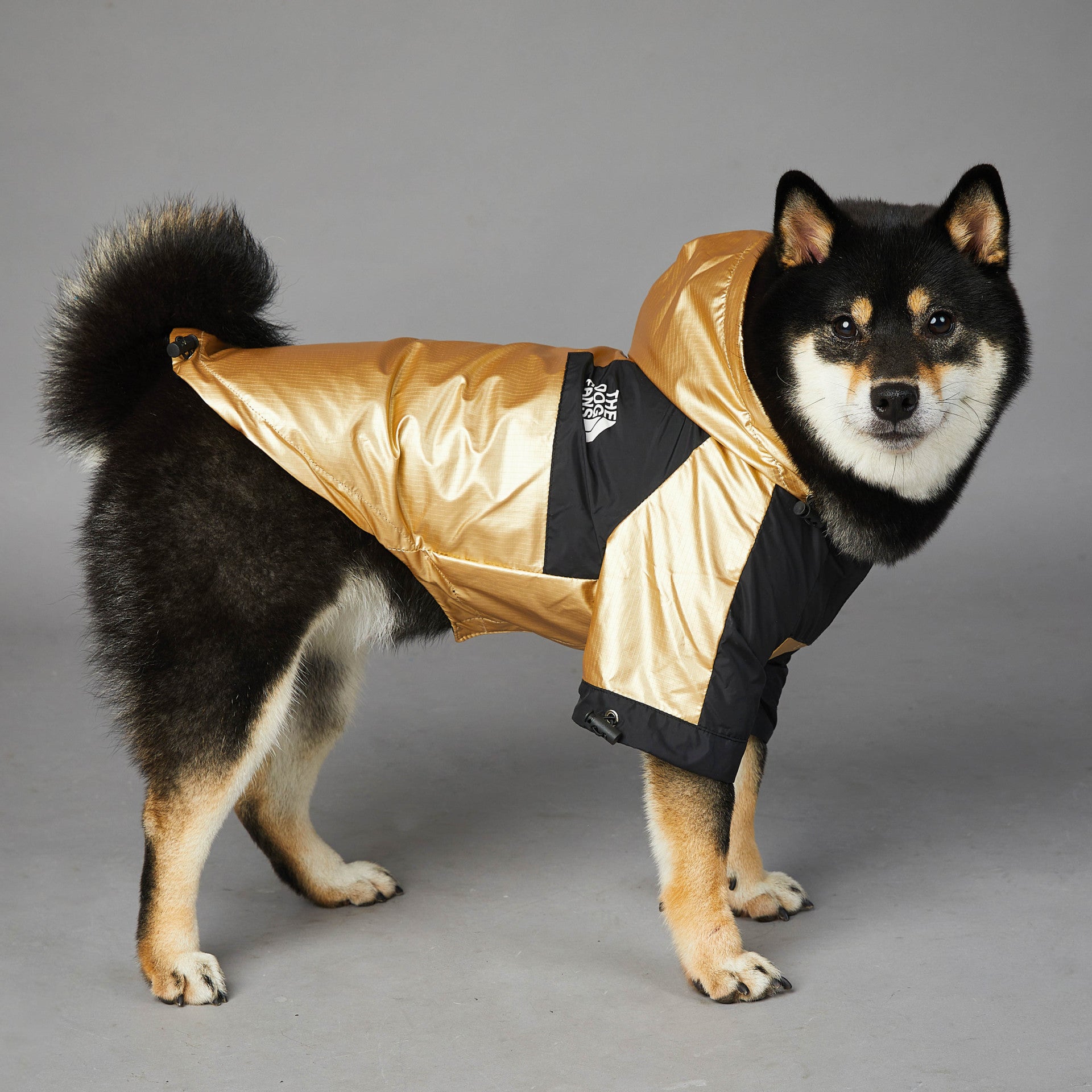 Dog Raincoat