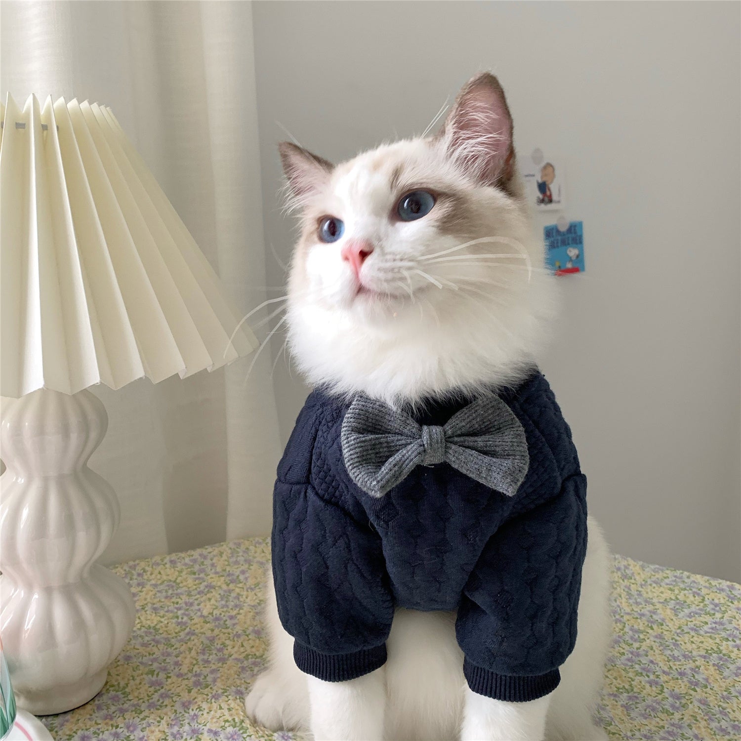 Cat Clothes