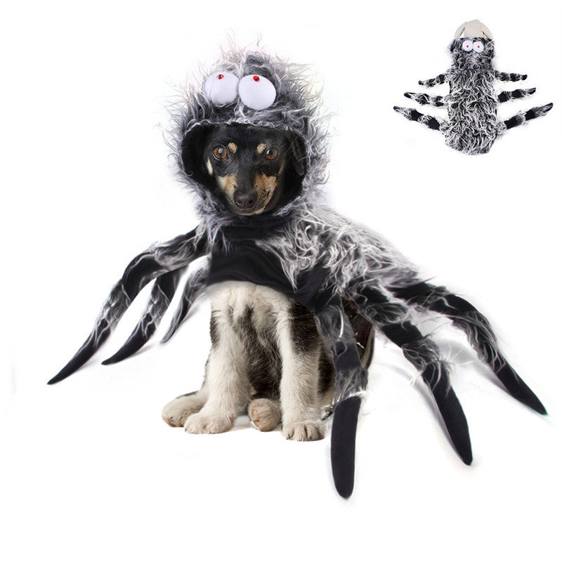 Funny spider costume for dogs