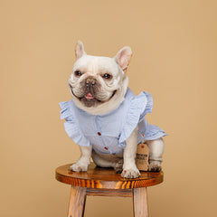 Pet clothes