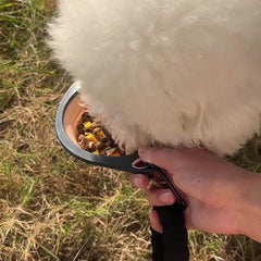 Collapsible Dog Bowls For Travel