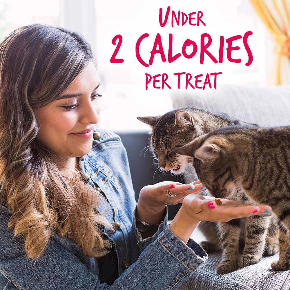 Fruitables Cat Treats – Crunchy Treats For Cats – Healthy Low Calorie Treats Packed with Protein – Free of Wheat, Corn and Soy – Made with Real Salmon with Cranberry – 2.5 Ounces