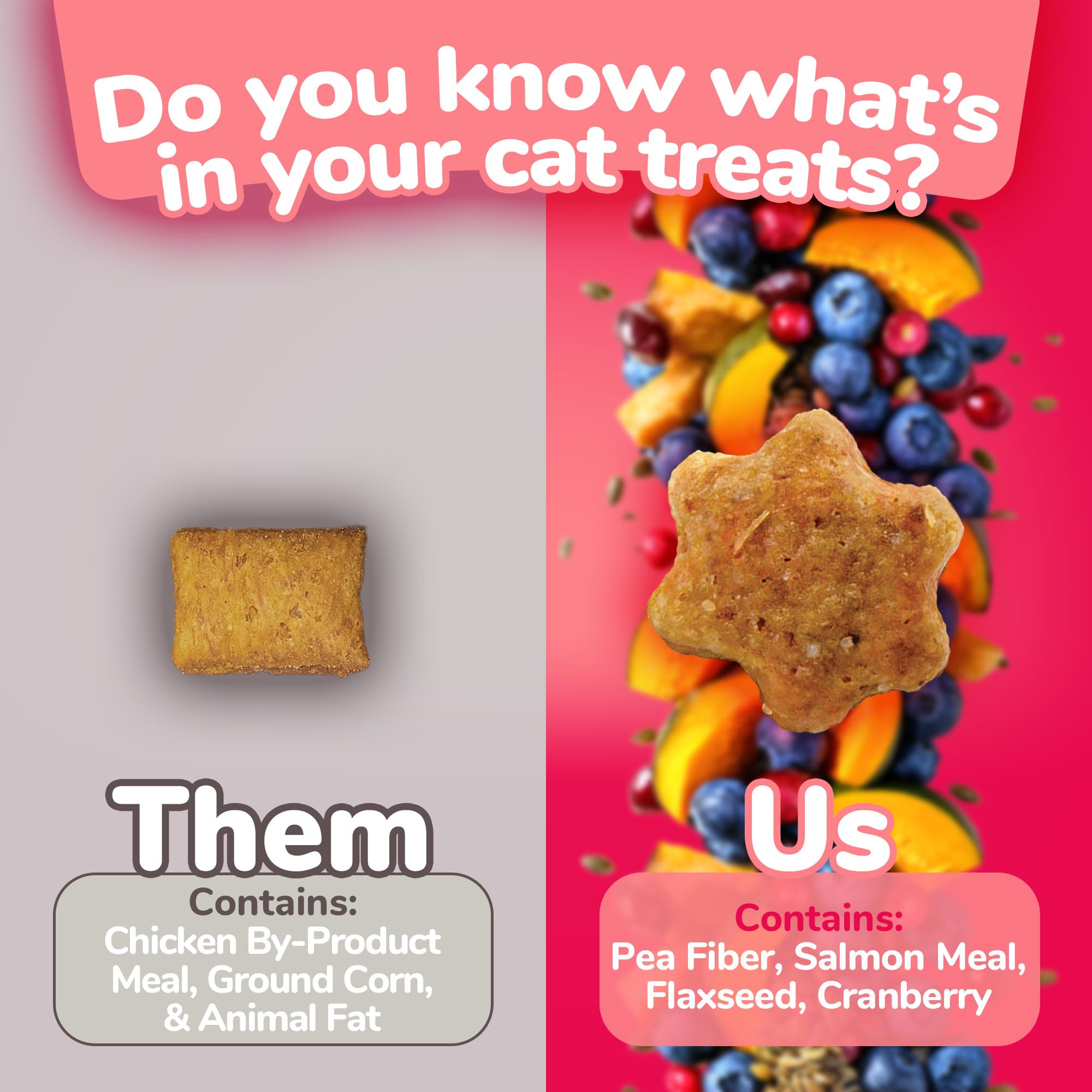 Fruitables Cat Treats – Crunchy Treats For Cats – Healthy Low Calorie Treats Packed with Protein – Free of Wheat, Corn and Soy – Made with Real Salmon with Cranberry – 2.5 Ounces