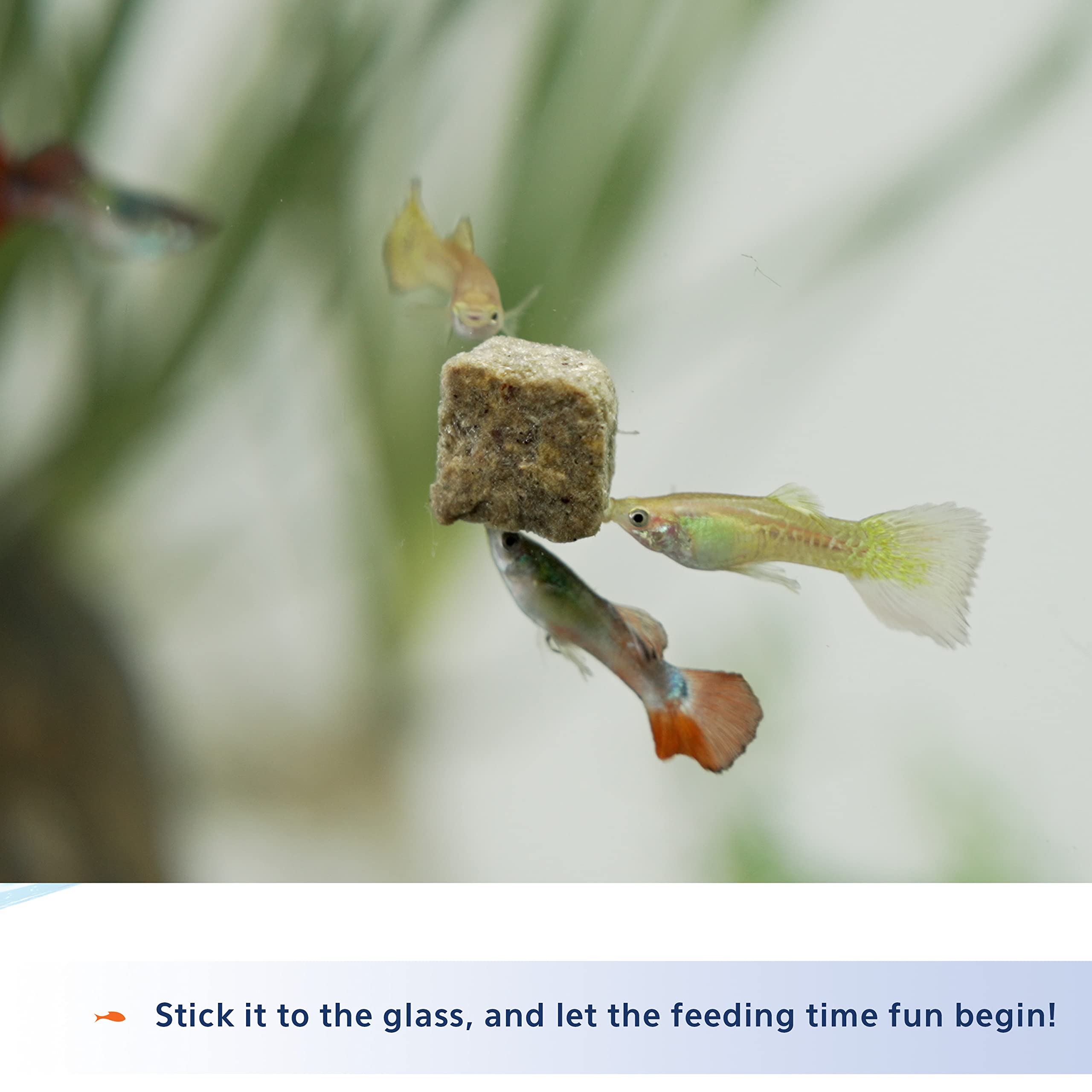 Aqueon Stick'ems Freeze-Dried Picky Eater Pet Fish Treat