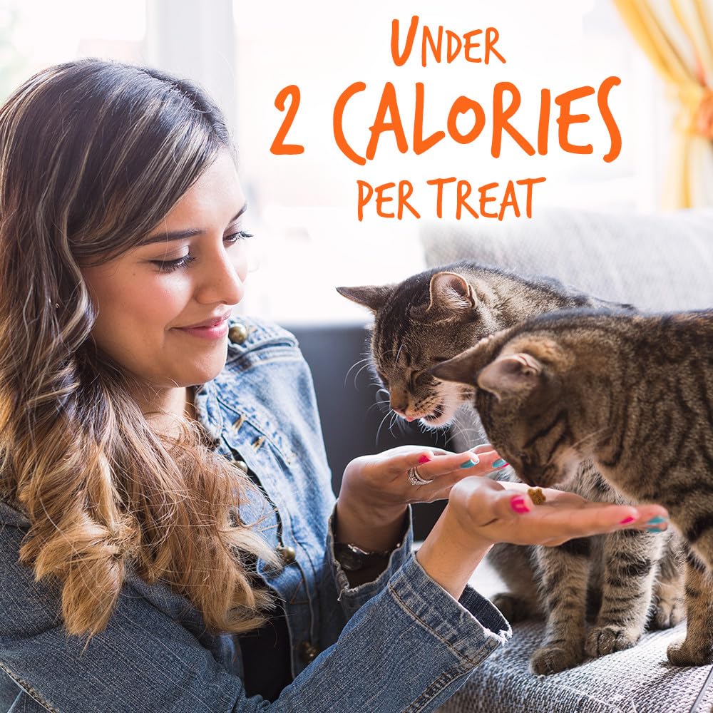 Treats For Cats