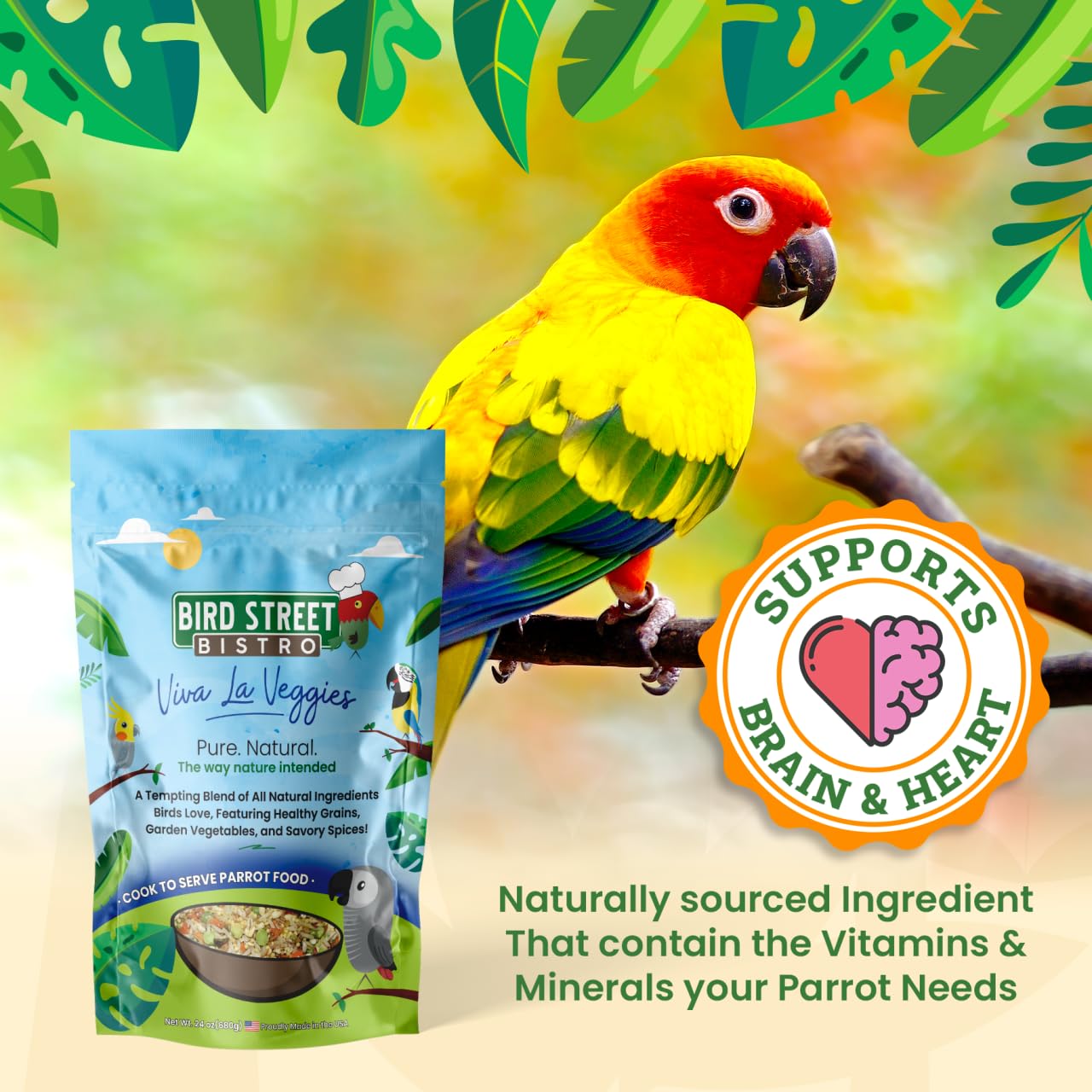 Bird Street Bistro Parrot Food - Parakeet Food - Cockatiel Food - Bird Food - Cooks in 3-15 min w/Natural & Organic Grains - Legumes - Non-GMO Fruits, Vegetables, & Healthy Spices