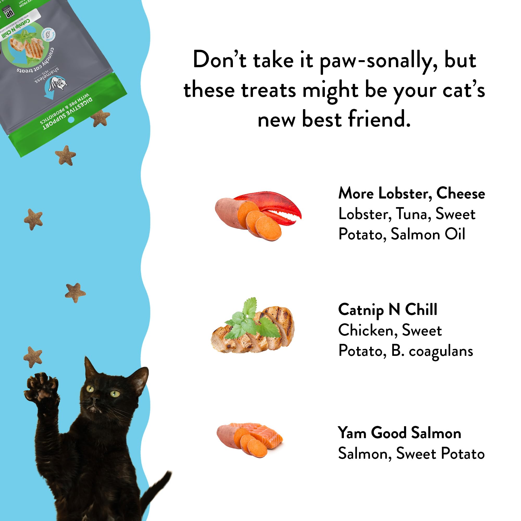 Cat Treats