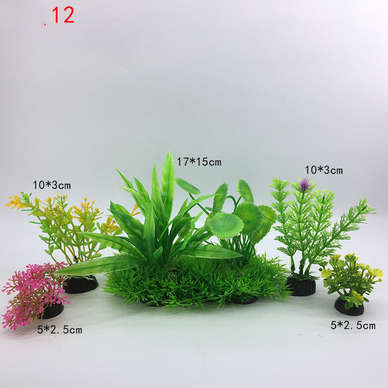 Plants for the aquarium