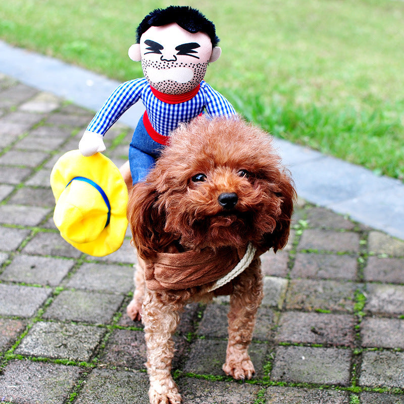 Pet Costume