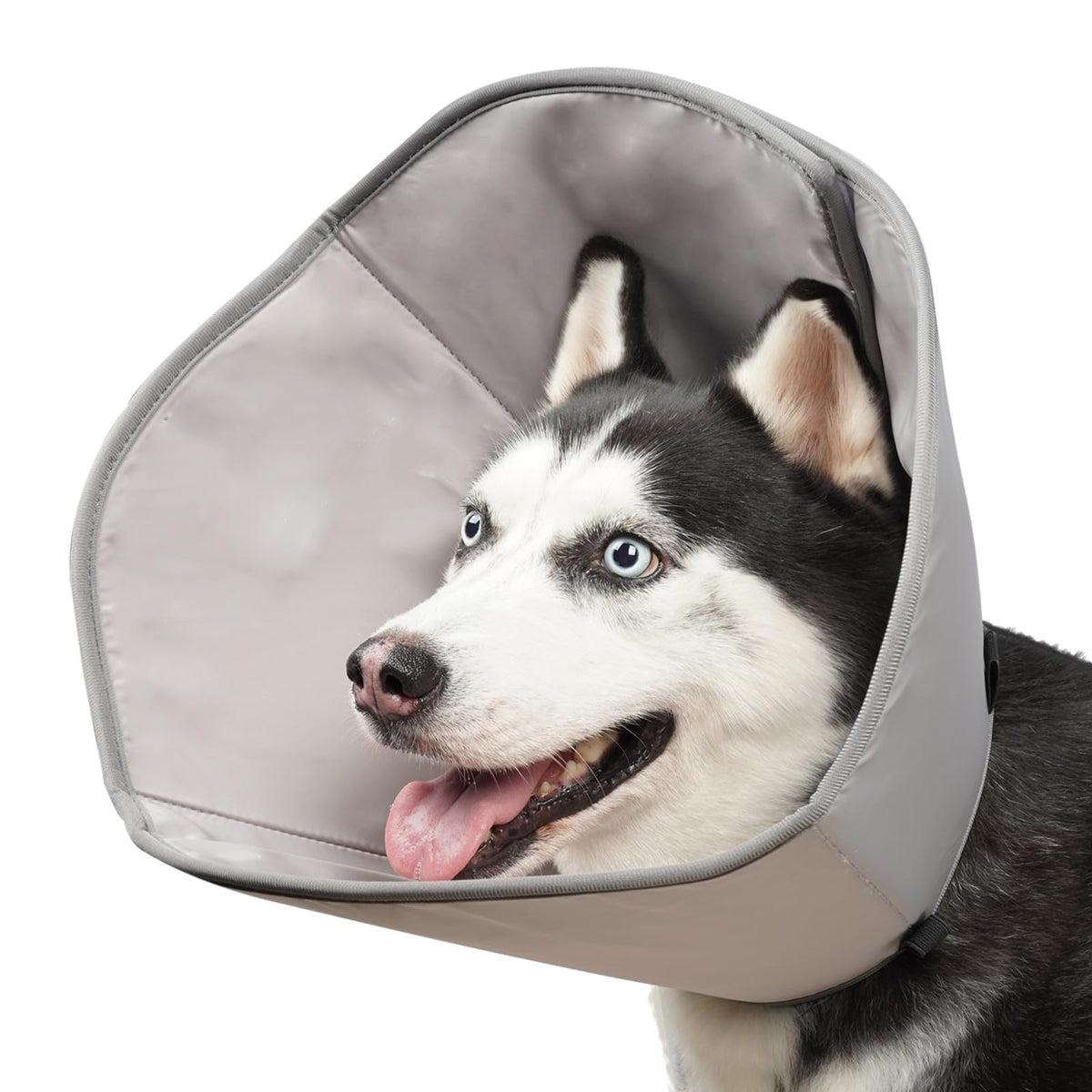 Dog Cones for Small Medium Large Dogs, Cones for Puppies and Kittens After Surgery to Stop Licking, Adjustable Neuter Cone Alternatives, Light Recovery Collar, Elizabethan Collar