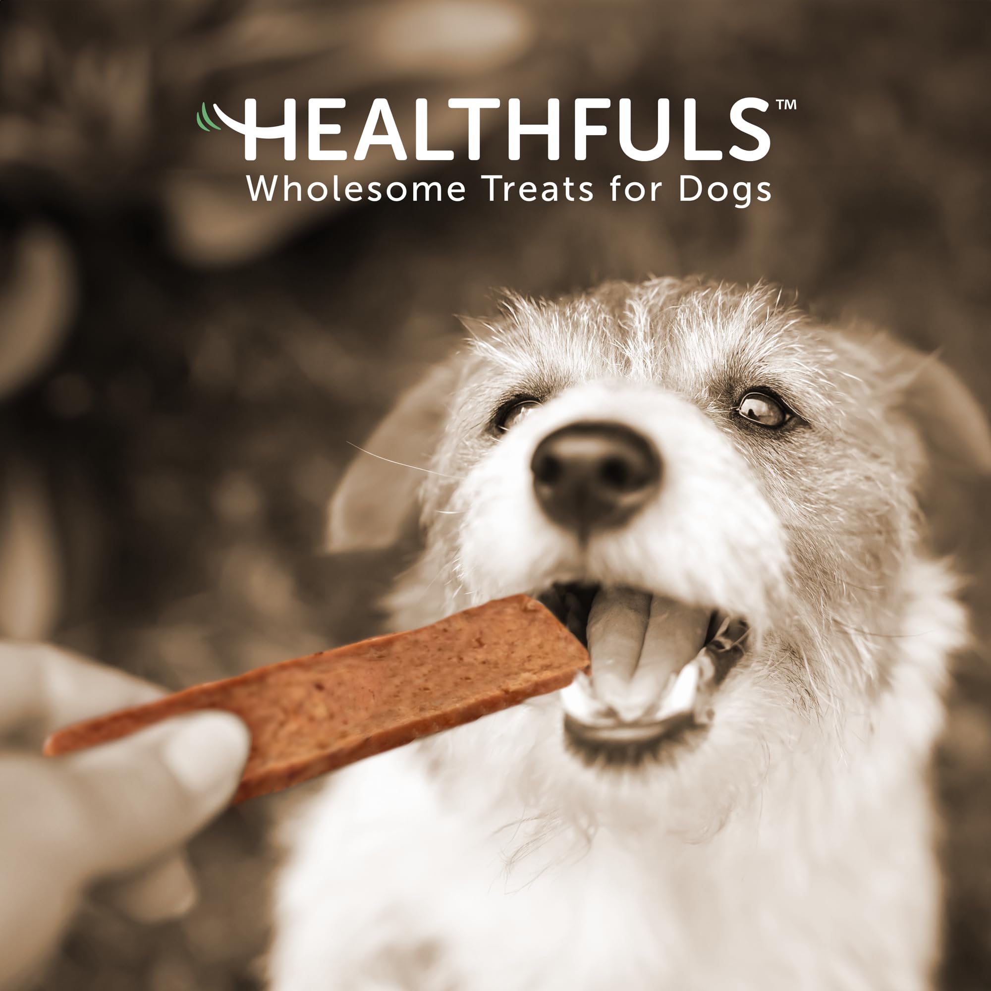 Healthfuls Salmon Fillet Dog Treats, 3.5oz