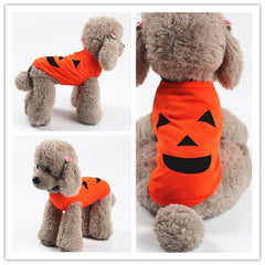 Halloween Pet Pumpkin Costume