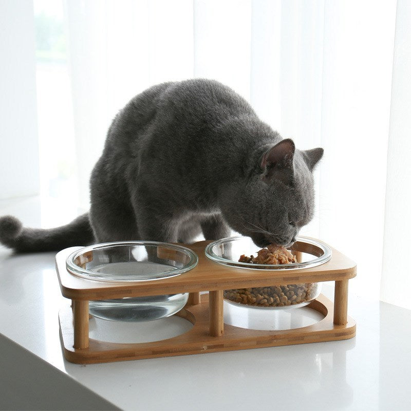 cat food bowl