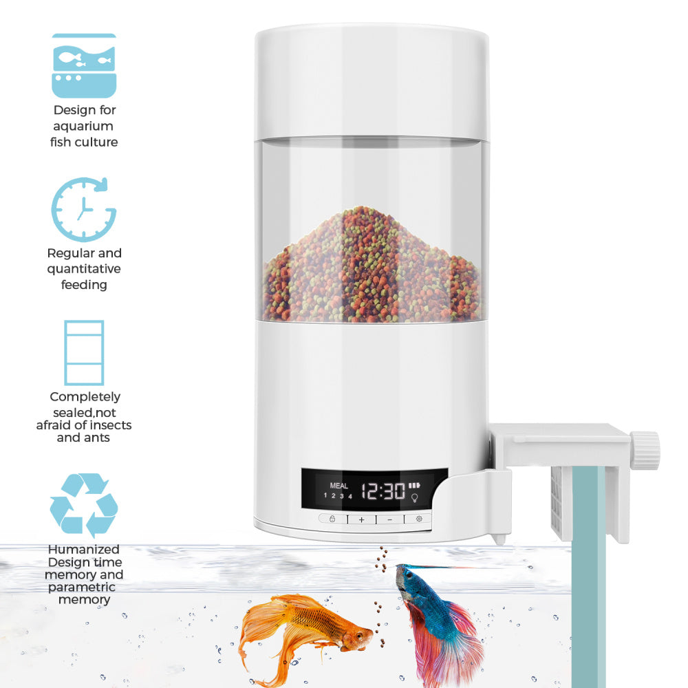 Automatic fish feeder