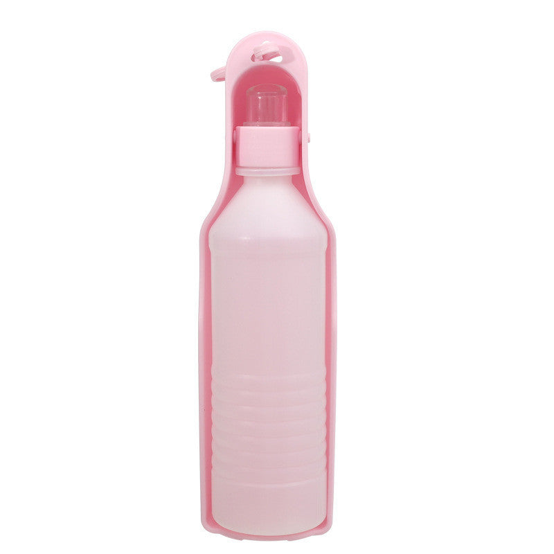 Pet water bottle