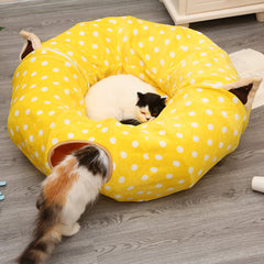 Cat Tunnel