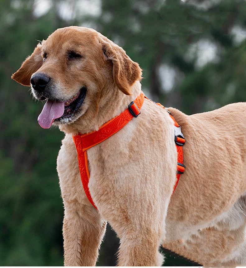 Chest strap for large and small dogs