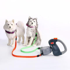 Dog Walking Leash