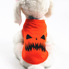 Halloween Pet Pumpkin Costume