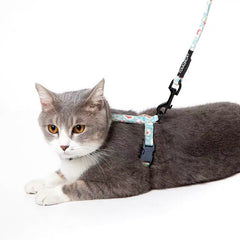 Walking leash for cats