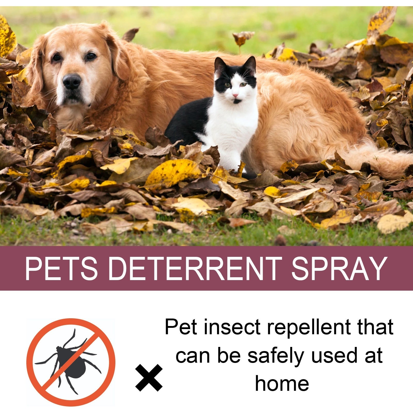 Pet Insect Repellent And Antiitching Spray