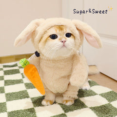 Cat Costume Rabbit