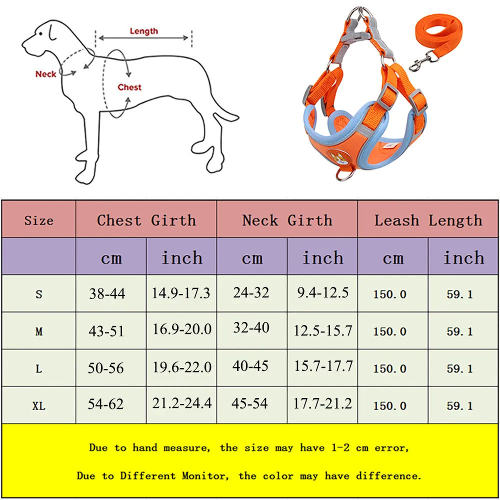 Dog Leash And Harness