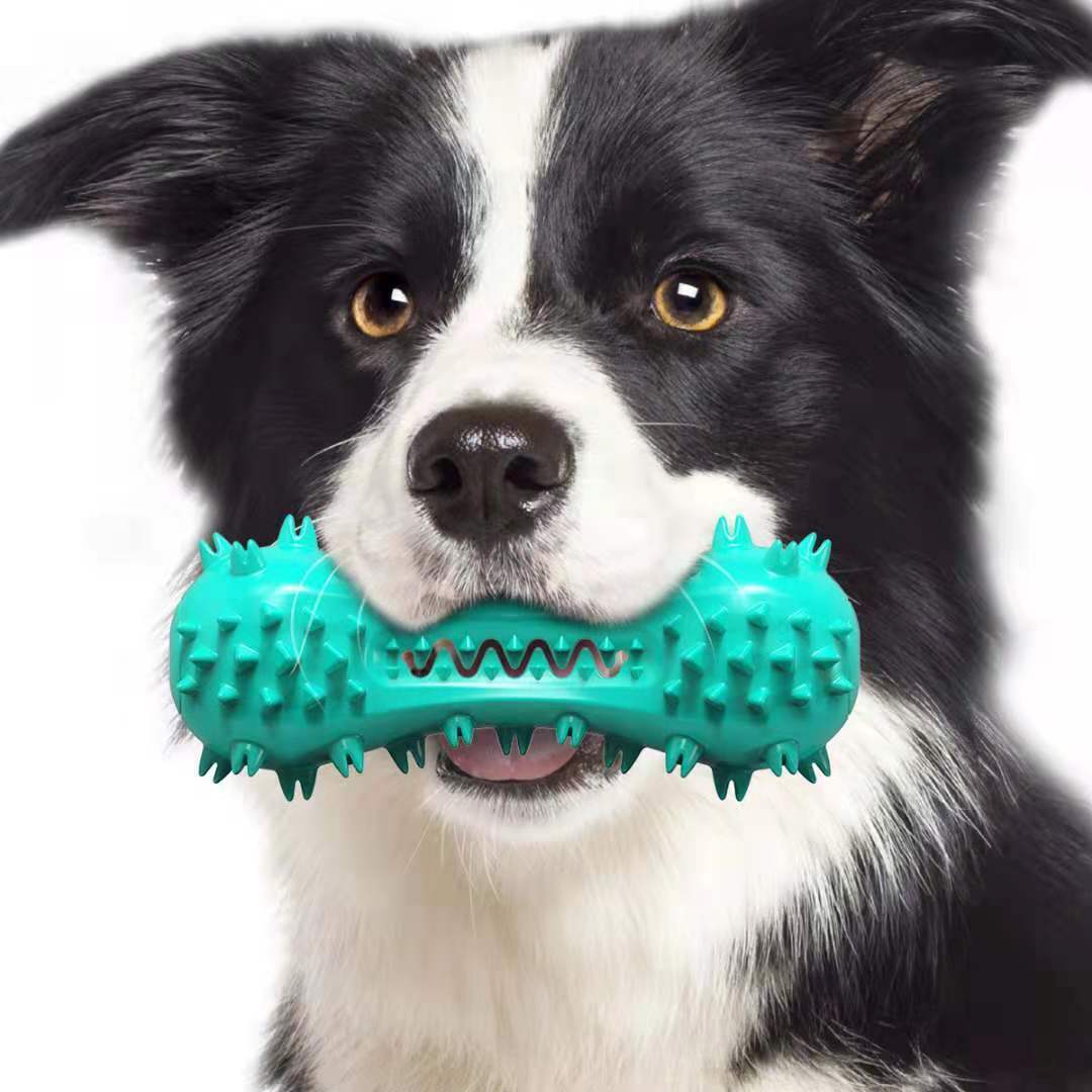 dog toys-Stick Dog Oral Teeth