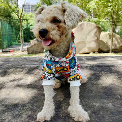 pet clothes letter pet Hoodie