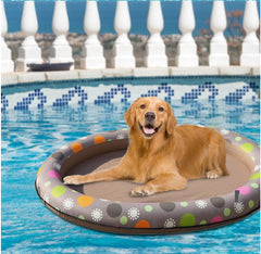 Dog Swimming Pool