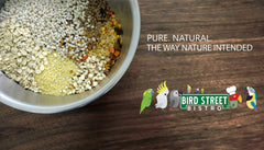 Bird Street Bistro Parrot Food - Parakeet Food - Cockatiel Food - Bird Food - Cooks in 3-15 min w/Natural & Organic Grains - Legumes - Non-GMO Fruits, Vegetables, & Healthy Spices