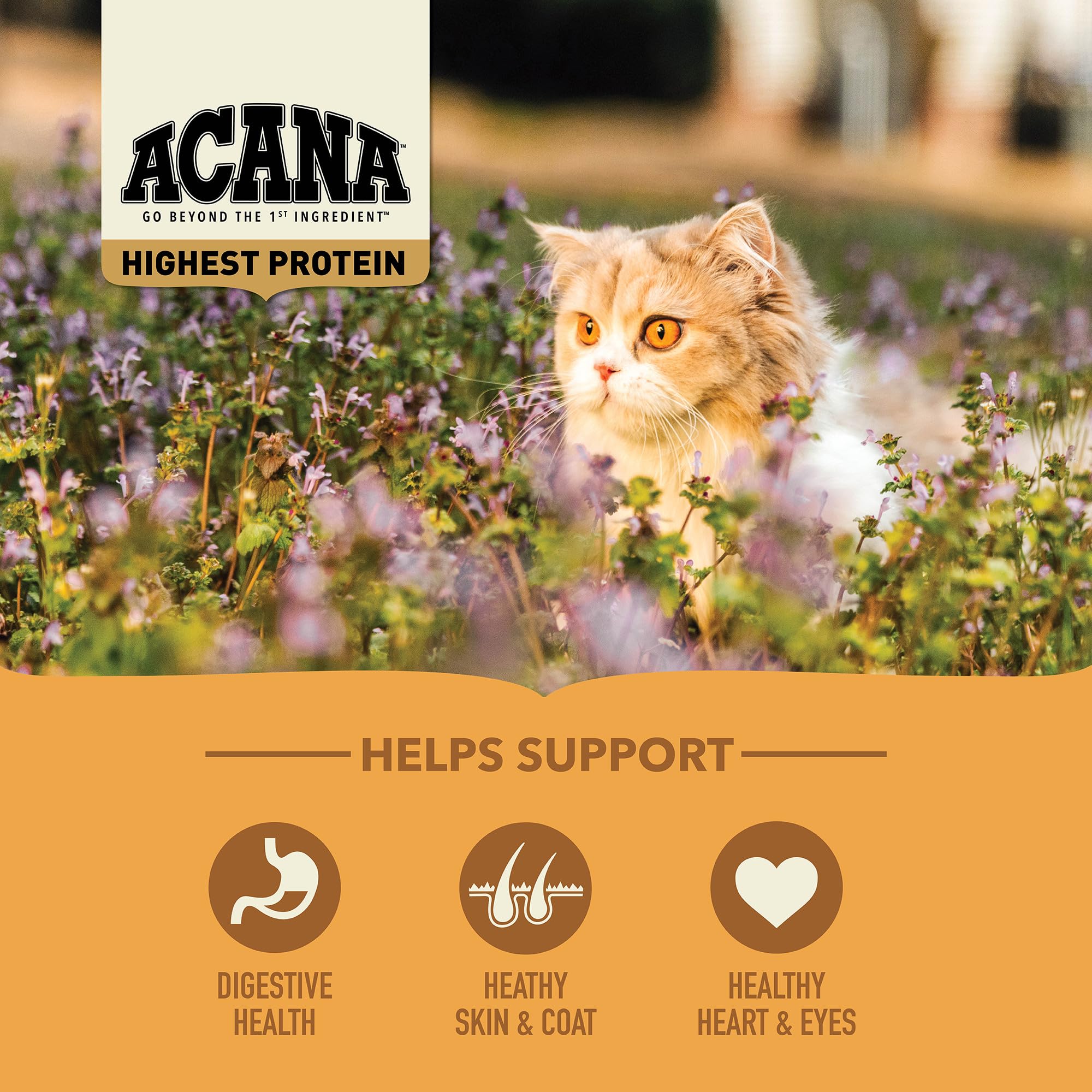 ACANA Highest Protein Meadowlands Grain-Free Dry Cat Food, Free-Run Chicken and Turkey and Chicken Liver Cat Food Recipe, 4lb