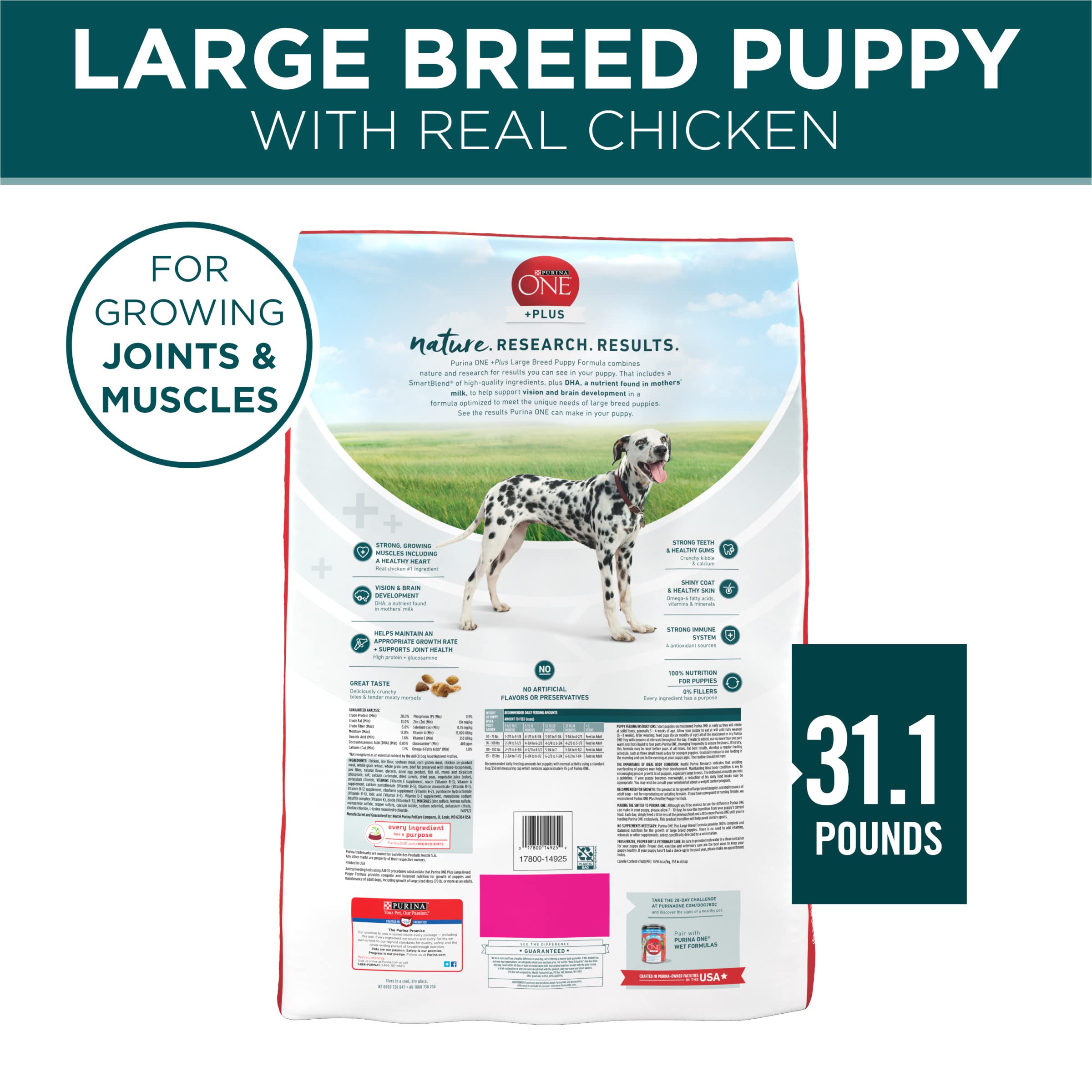 Purina ONE Plus Large Breed Puppy Food Dry Formula - 31.1 lb. Bag