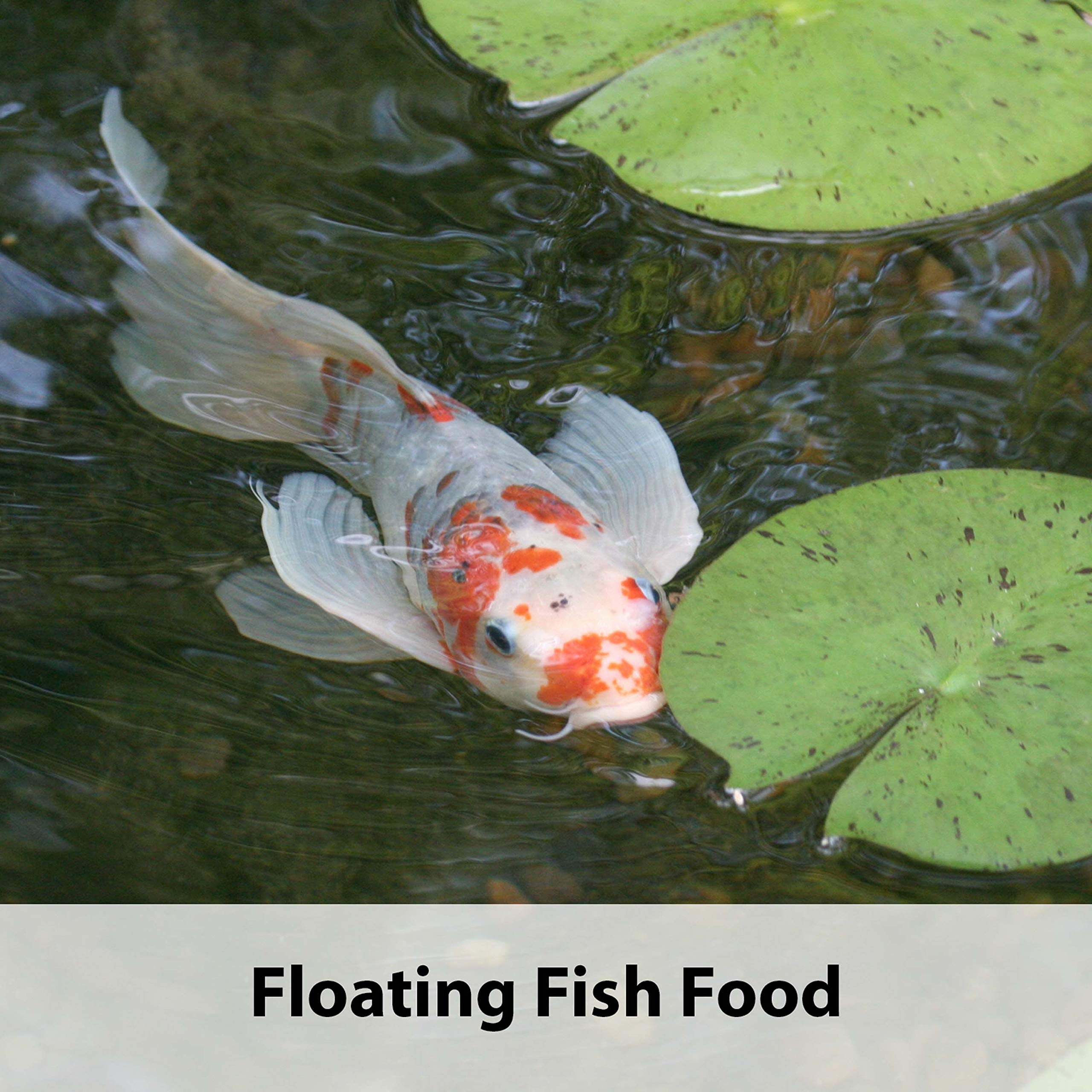 Kaytee Koi's Choice Koi Floating Fish Food, 10 Pound