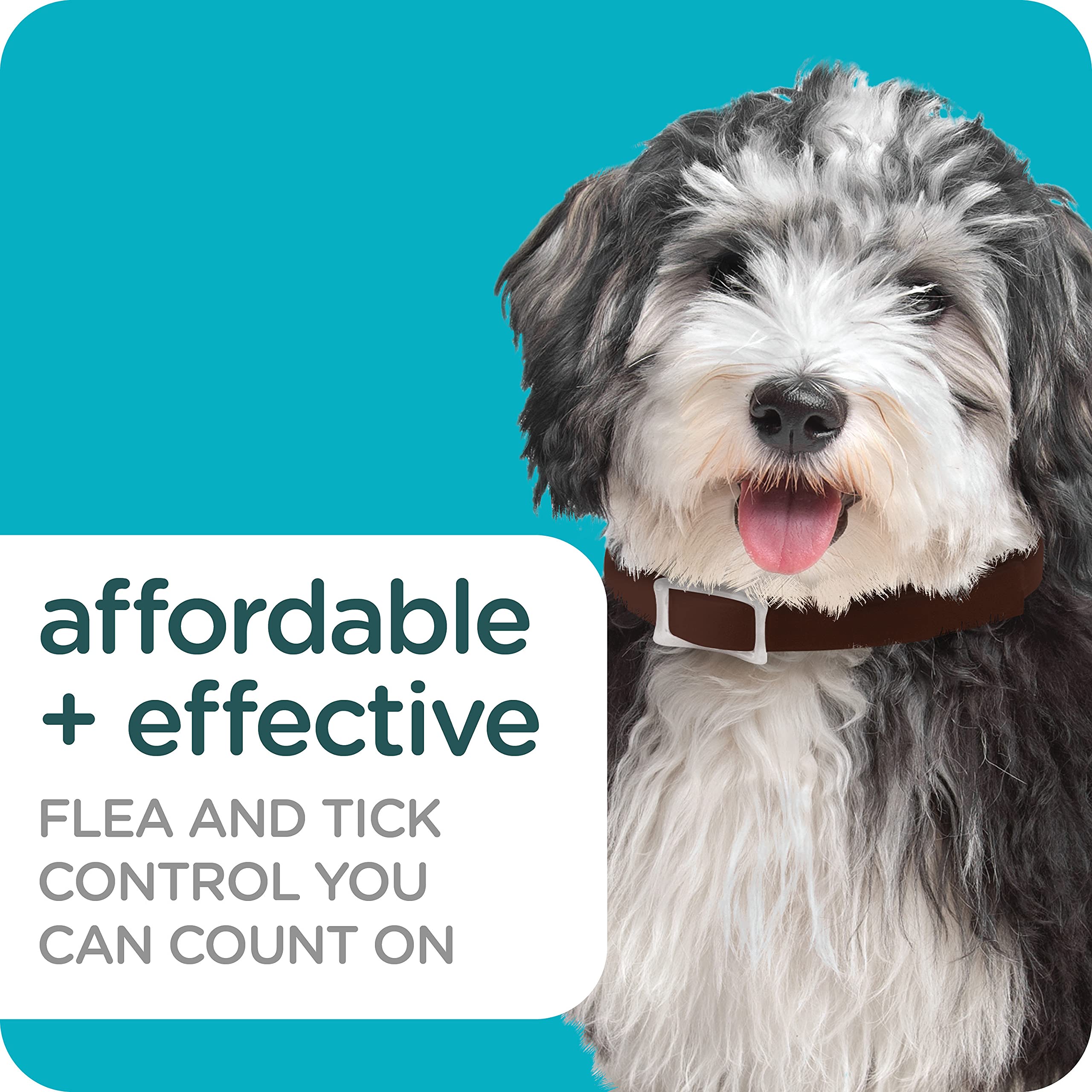 Sergeant's Guardian Pro Flea & Tick Collar for Dogs, Kills Fleas & Ticks, Long Lasting Protection for 6 Months, Fresh Scent, One Size Fits All, 1 Collar