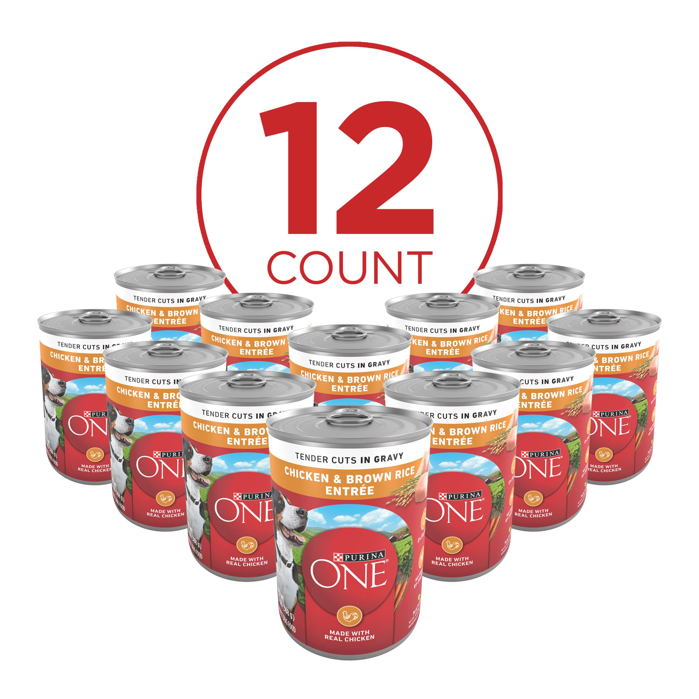 Purina ONE Tender Cuts in Wet Dog Food Gravy Chicken and Brown Rice Entree - (Pack of 12) 13 oz. Cans