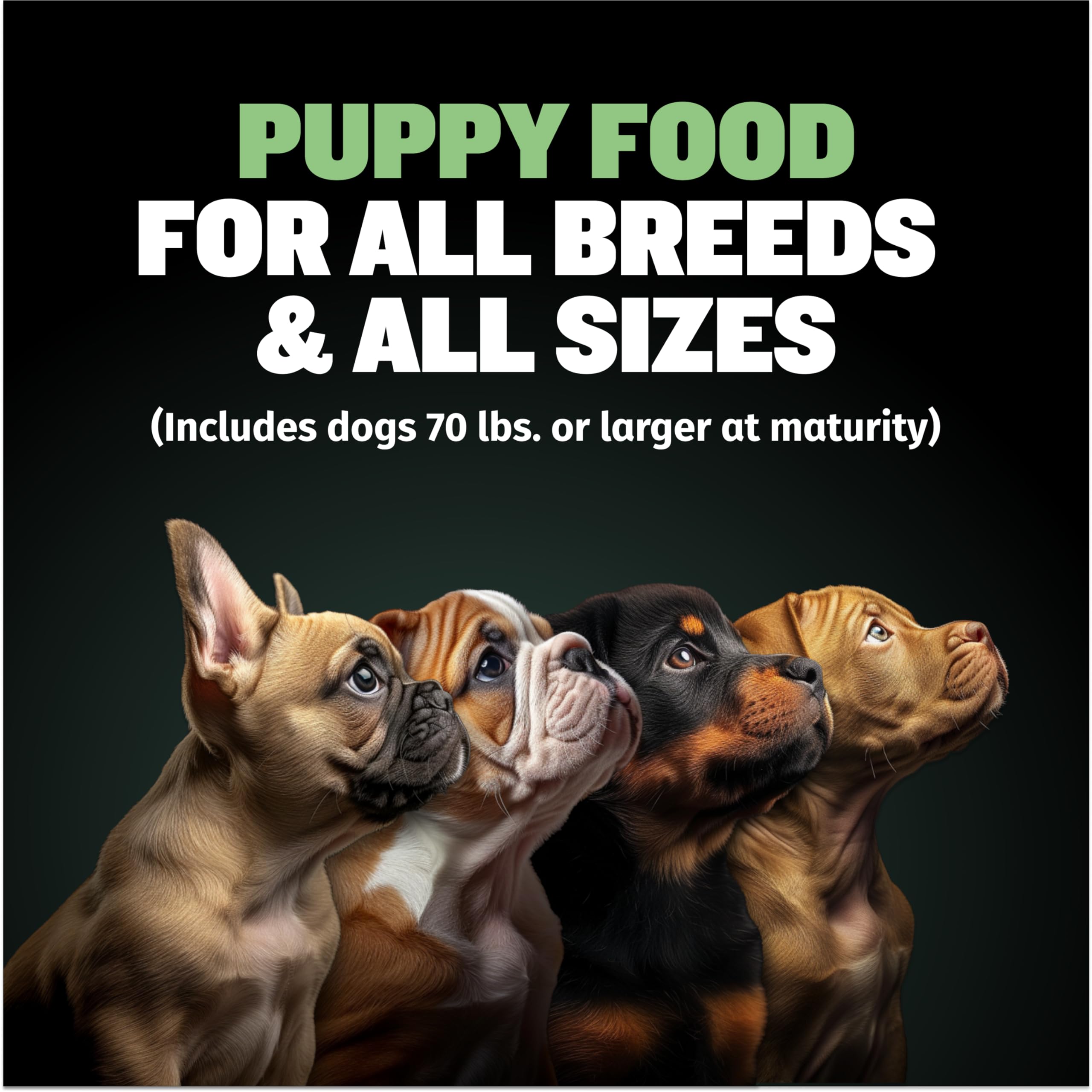 Bully Max Puppy Food 24/14 High Protein & Growth Formula - Dry Dog Food with Lamb and Rice for Small Dogs and Large Breed Puppies - Natural, Slow-Cooked, Sensitive Stomach Pet Food, 5-Pound Bag